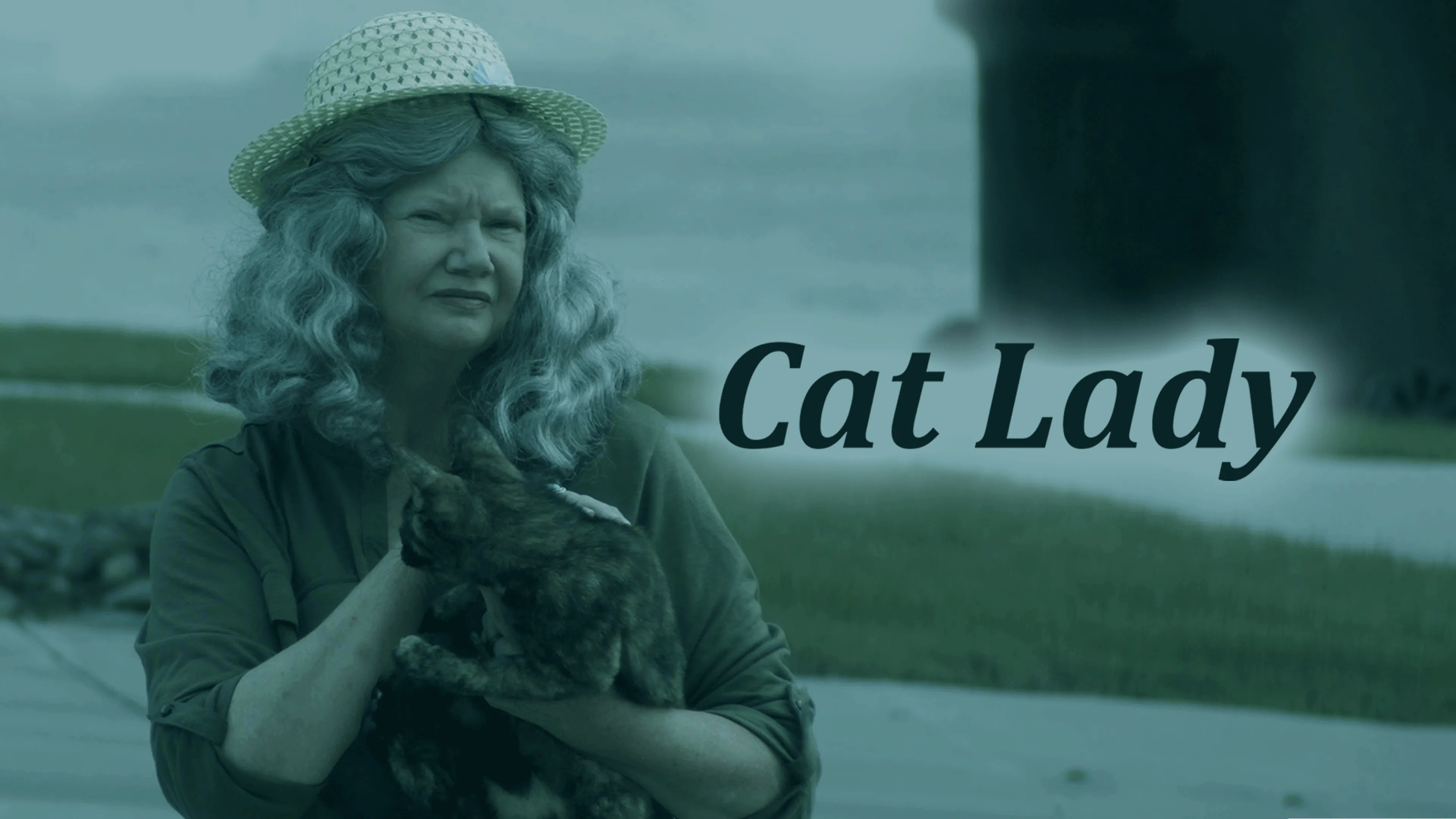 Cat Lady poster